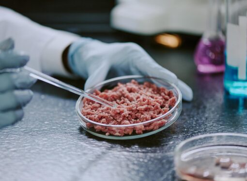 MEAT-iCode: New Tool Exposes Hidden Food Fraud With Precision