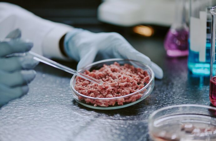MEAT-iCode: New Tool Exposes Hidden Food Fraud With Precision