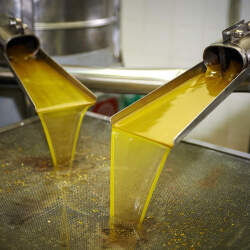 UP Food Safety Department Cracks Down on Unlicensed Mustard Oil Mill in UP