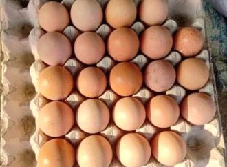 Moradabad Crackdown: Farm Eggs Sold as Country Eggs