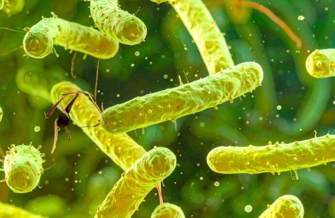 India Faces a Superbug Explosion: 83% Carry Drug-Resistant Bacteria