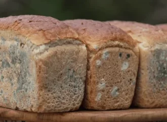 Bakery Closed for Using Stale, Mouldy Food in Payyoli