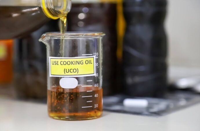 Cooking Oil Checks Begin in Sivasagar for Safer Food