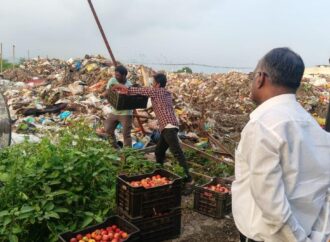 Rotten Apples Seized; Srivilliputtur Fruit Shops Pulled Up for Violations