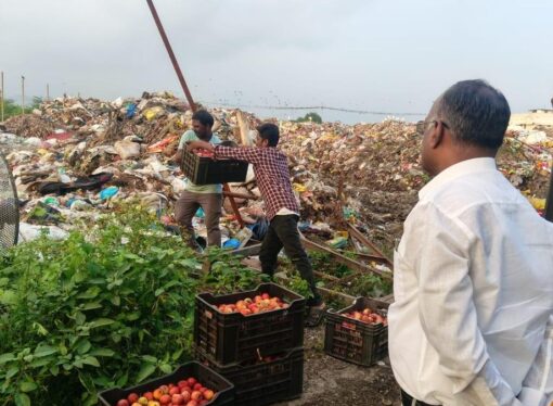 Rotten Apples Seized; Srivilliputtur Fruit Shops Pulled Up for Violations