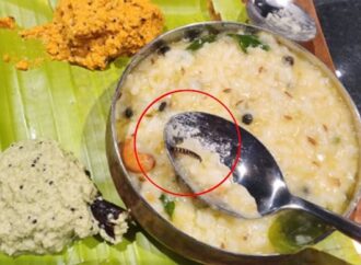 Rameshwaram Café Booked After Worm Found in Bengaluru Airport Meal
