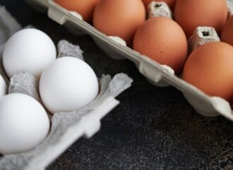 Egg Safety Row: Karnataka Minister Urges Calm, Orders Fresh Tests