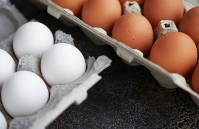 Egg Safety Row: Karnataka Minister Urges Calm, Orders Fresh Tests
