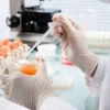 Karnataka Intensifies Egg Testing Amid Cancer Safety Concerns
