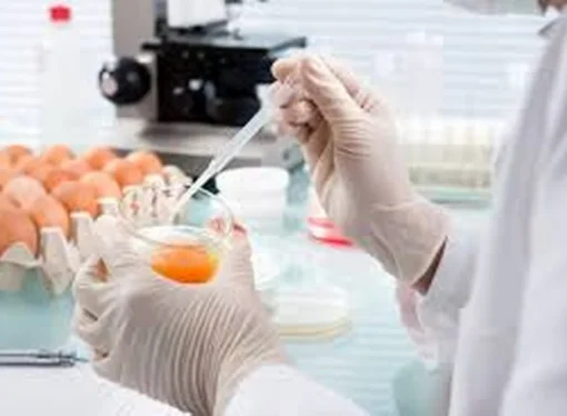 Karnataka Intensifies Egg Testing Amid Cancer Safety Concerns