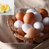 FSSAI Dismisses Cancer Claims, Reaffirms Eggs Are Safe
