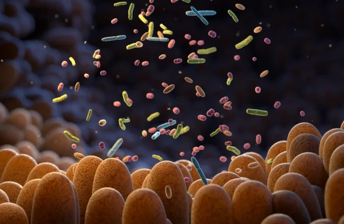 Hidden Chemicals Could Be Harming Your Gut, Cambridge Study Finds