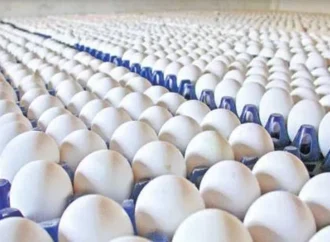TN Food Safety Dept to Test Eggs from 300 Poultry Farms in Namakkal