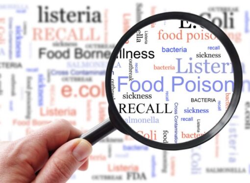 Food Safety Glossary: Simple Terms Everyone Should Know
