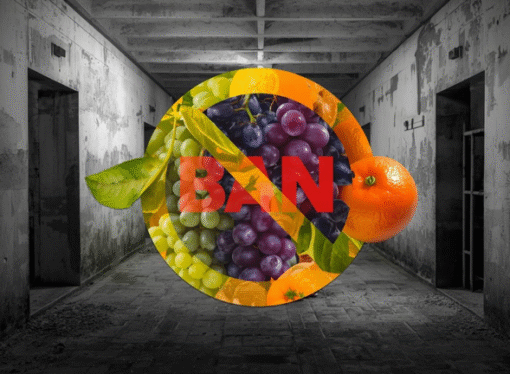 Bengaluru Central Prison Tightens Food Controls, Bans Citrus Fruits