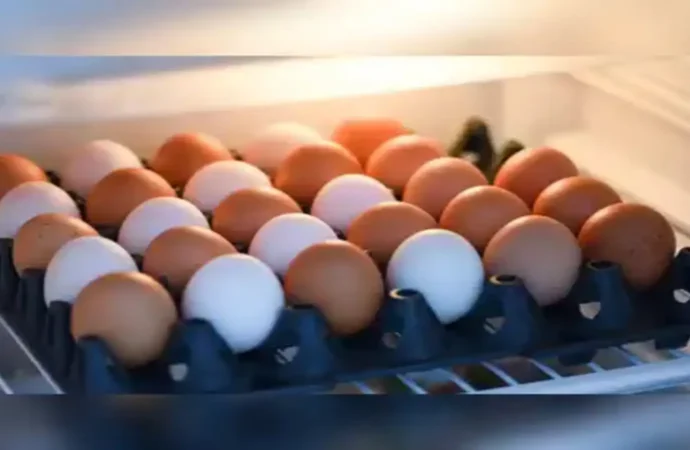 Viral Fake Egg Claims: What’s Real and What’s Not