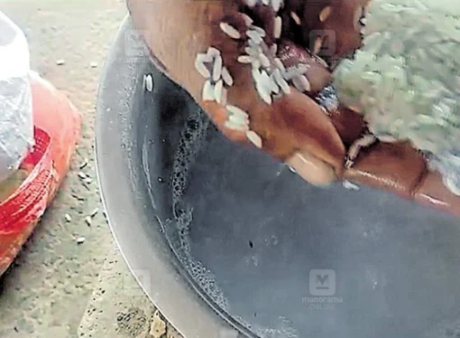Ration Rice Turns Blue in Kottayam, Triggering Food Safety Probe