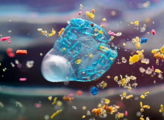 Microplastics Risk: Madras High Court Urges Centre to Act