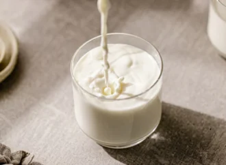 Synthetic Milk Factory Busted in Gujarat After Five Years of Illegal Operations