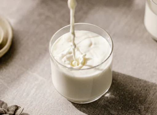 Synthetic Milk Factory Busted in Gujarat After Five Years of Illegal Operations