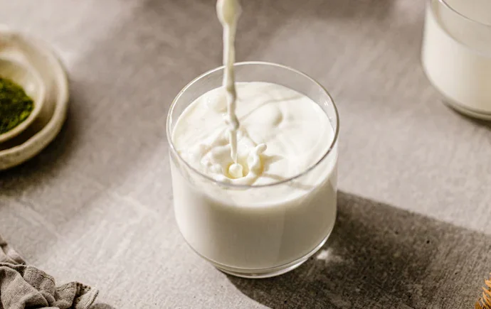 Synthetic Milk Factory Busted in Gujarat After Five Years of Illegal Operations