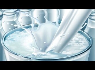 Milk Parlours Under Scanner: Surprise Inspections Expose Adulteration in Tirupati