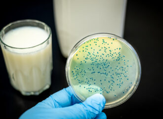 Milk Safety Drive: 12,780 Samples Fail FSSAI Tests in FY 24-25