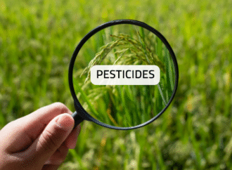 FSSAI Notifies Version IX with Stricter Contaminant Limits