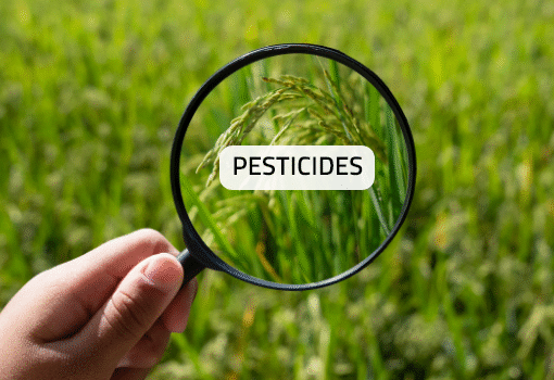 FSSAI Notifies Version IX with Stricter Contaminant Limits