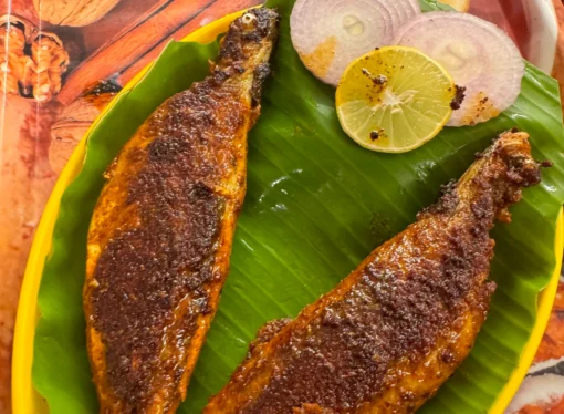 Vizhinjam Seafood Shock: More Seek Treatment as Probe Widens