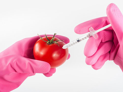 Andhra Health Minister Warns Adulterators, Urges Citizens to Stay Alert