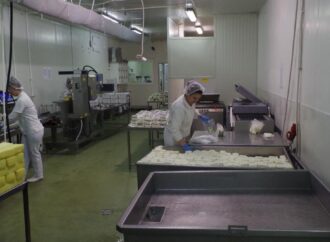 Telangana Plans EAGLE-Style Authority to Crack Down on Food Adulteration