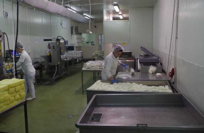 Telangana Plans EAGLE-Style Authority to Crack Down on Food Adulteration