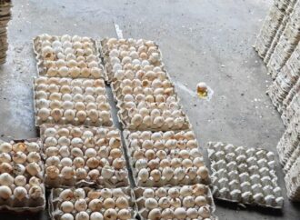 Spoiled Eggs, Fake Coconut Powder Seized in Hyderabad Raids