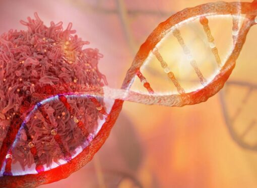 Uttarakhand to Track Cancer-Causing Chemicals in Food, Makes Cancer Notifiable