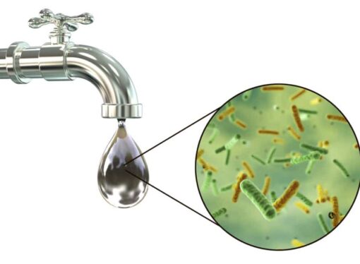 Troubled Waters: Bacteria Found in Delhi Tap Supply