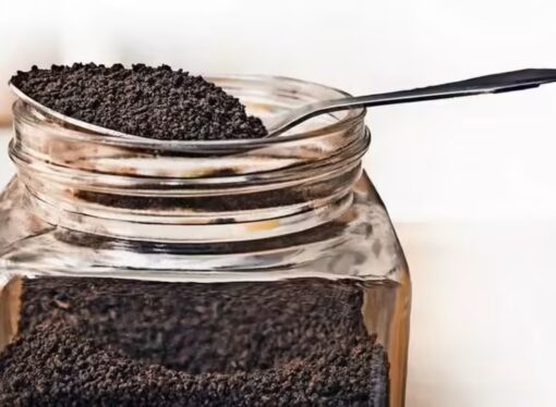 From Cocopeat to Colour: Inside Hyderabad’s adulterated Tea Powder Racket