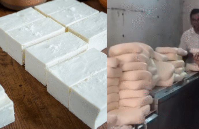 Over 600 kg of Adulterated Paneer Seized and Destroyed in Jaipur Raid
