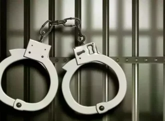 Horse Meat Sold as Donkey Meat: Seven Arrested in Ongole Food Fraud Bust