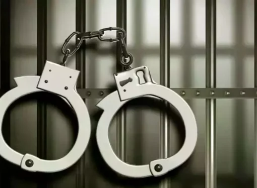 Horse Meat Sold as Donkey Meat: Seven Arrested in Ongole Food Fraud Bust