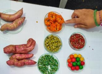 Spot the Fake: Eat Right Mela Demonstrates Food Adulteration Tests