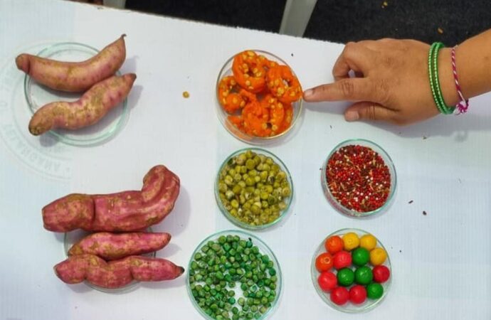 Spot the Fake: Eat Right Mela Demonstrates Food Adulteration Tests