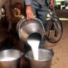 2,036 Milk Vendors in East Godavari Asked to Obtain FSSAI Licence