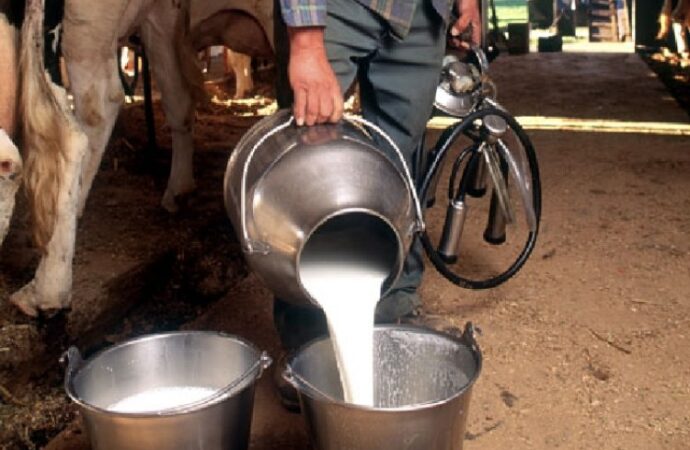 2,036 Milk Vendors in East Godavari Asked to Obtain FSSAI Licence