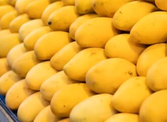 Hyderabad Markets Raided for Chemically Ripened Mangoes