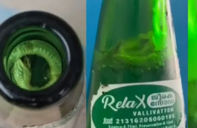 Soda Unit Shut After Baby Snake Found in Jeera Soda Bottle