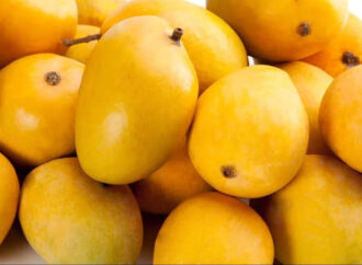 Pune FDA Busts Adulterated Mango Pulp Racket, 3.8 Tonnes Seized