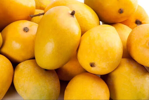 Pune FDA Busts Adulterated Mango Pulp Racket, 3.8 Tonnes Seized