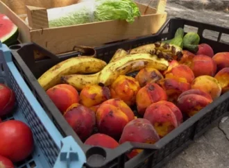 Jaipur Raid Uncovers 8,500 Kg Rotten Fruits Ready for Sale