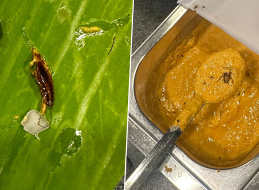 Cockroach in Chutney Triggers Protest at Delhi University Hostel